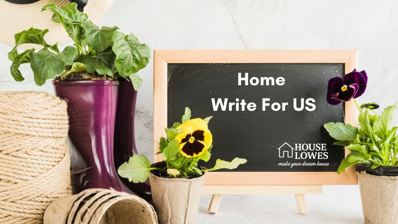 Home Write For US