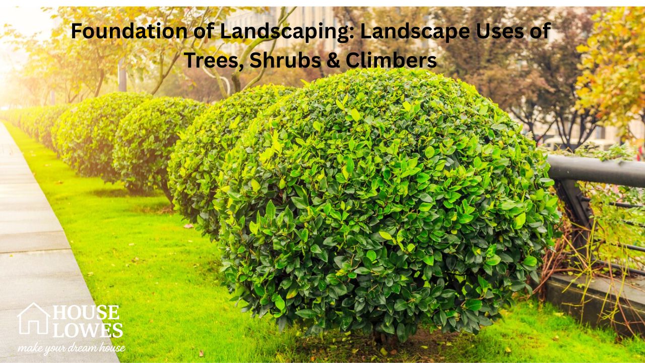 Foundation of Landscaping: Landscape Uses of Trees, Shrubs & Climbers