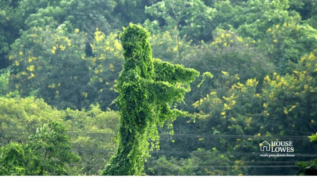 Current image: Landscape Uses of Trees, Shrubs, and Climbers A Greenery Guide