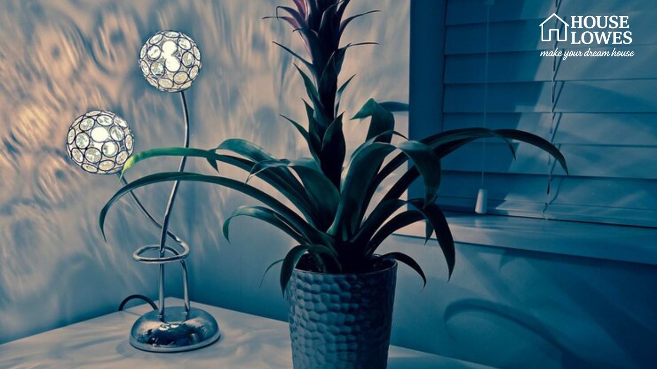 Mid Century Modern House Plants Bring Style & Nature Home