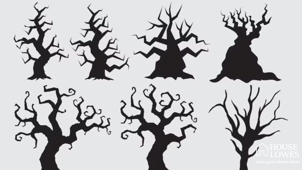 Trees Are the Skeleton of Every Landscape Design