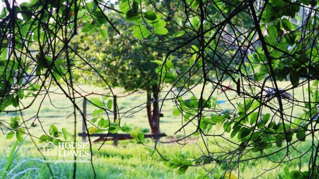 Current image: Landscape Uses of Trees, Shrubs & Climbers - Your PPT Guide